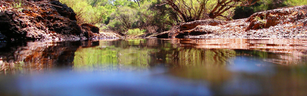 C-WCD-Images-Blackwood-River-base-flow-from-Yarragadee-aquifer ...